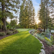 yard and trees at sunset